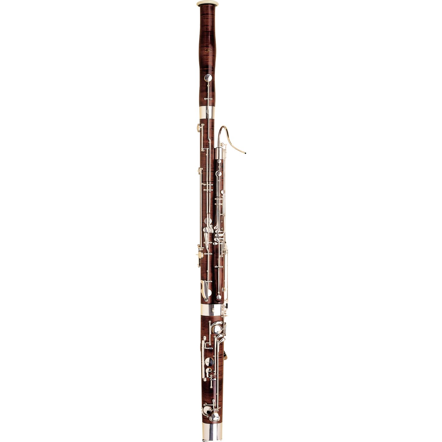 Bassoon